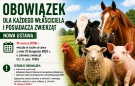 Plakat informacyjny – nowe przepisy